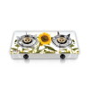 VISION NG DOUBLE GLASS GAS STOVE SUN FL 3D