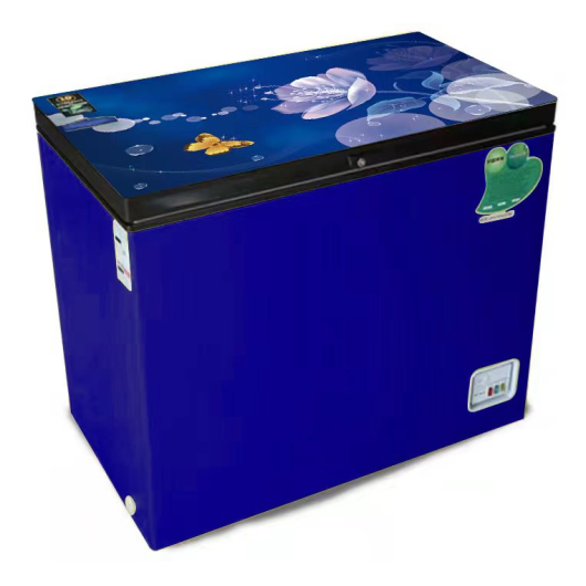 VSN GD CHEST FREEZER RE-250L BLUE FL