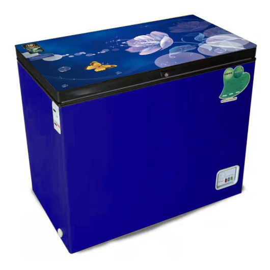 VISION GLASS DOOR CHEST FREEZER RE-250L BLUE FLOWER