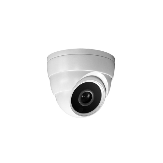 VISION CCTV IP DOME CAMERA 2MP BK 2IP513C5